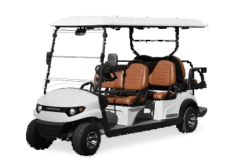 AC Motor Golf Vozidlo AC Motor Golf