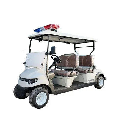 Střídavé motorové golfové vozidlo